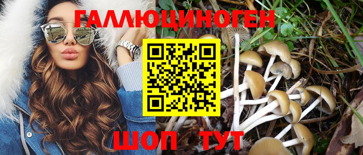 Галлюциногенные грибы ЛСД Камышлов