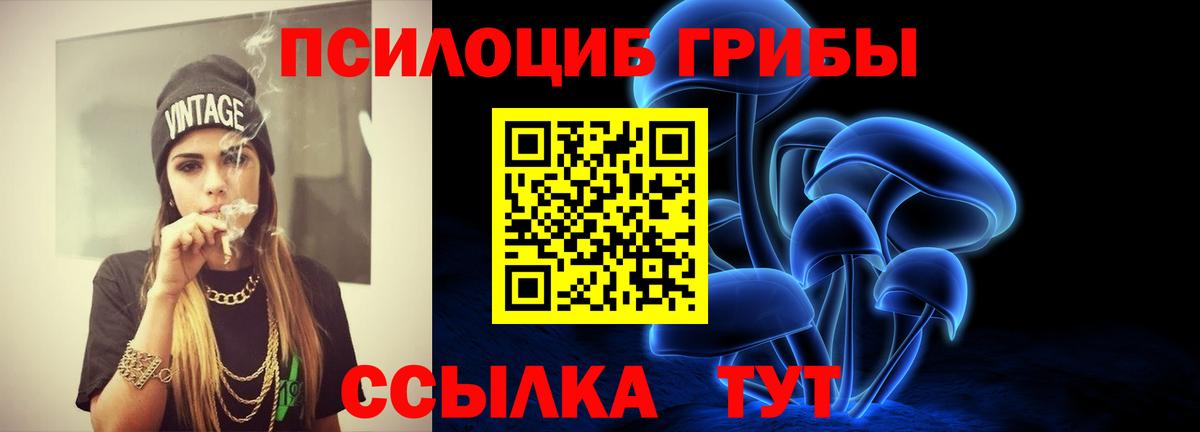 Камышлов  Галлюциногенные грибы ЛСД  Галлюциногенные грибы мухоморы  Вход с VPN 